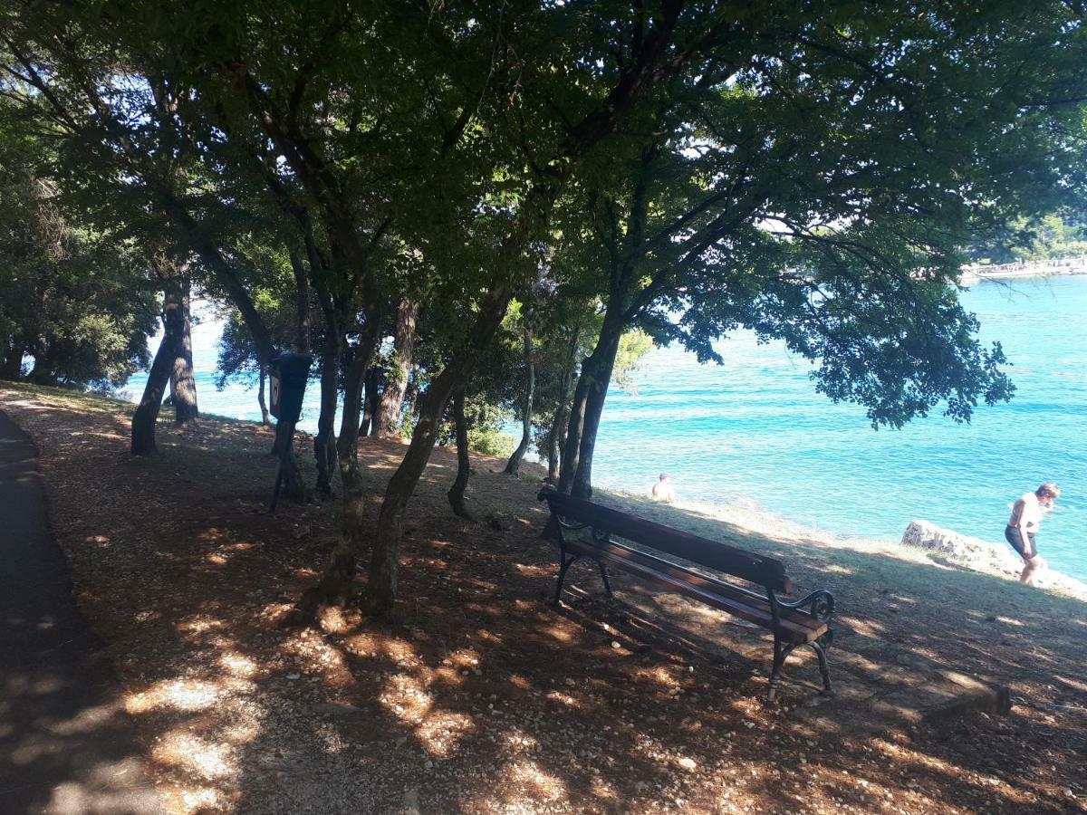 Apartment Terra Rossa Kaštelir Dış mekan fotoğraf