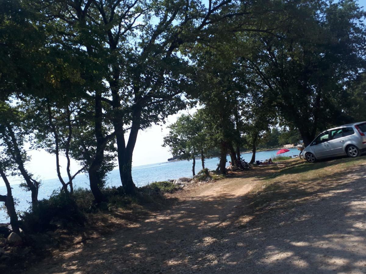 Apartment Terra Rossa Kaštelir Dış mekan fotoğraf