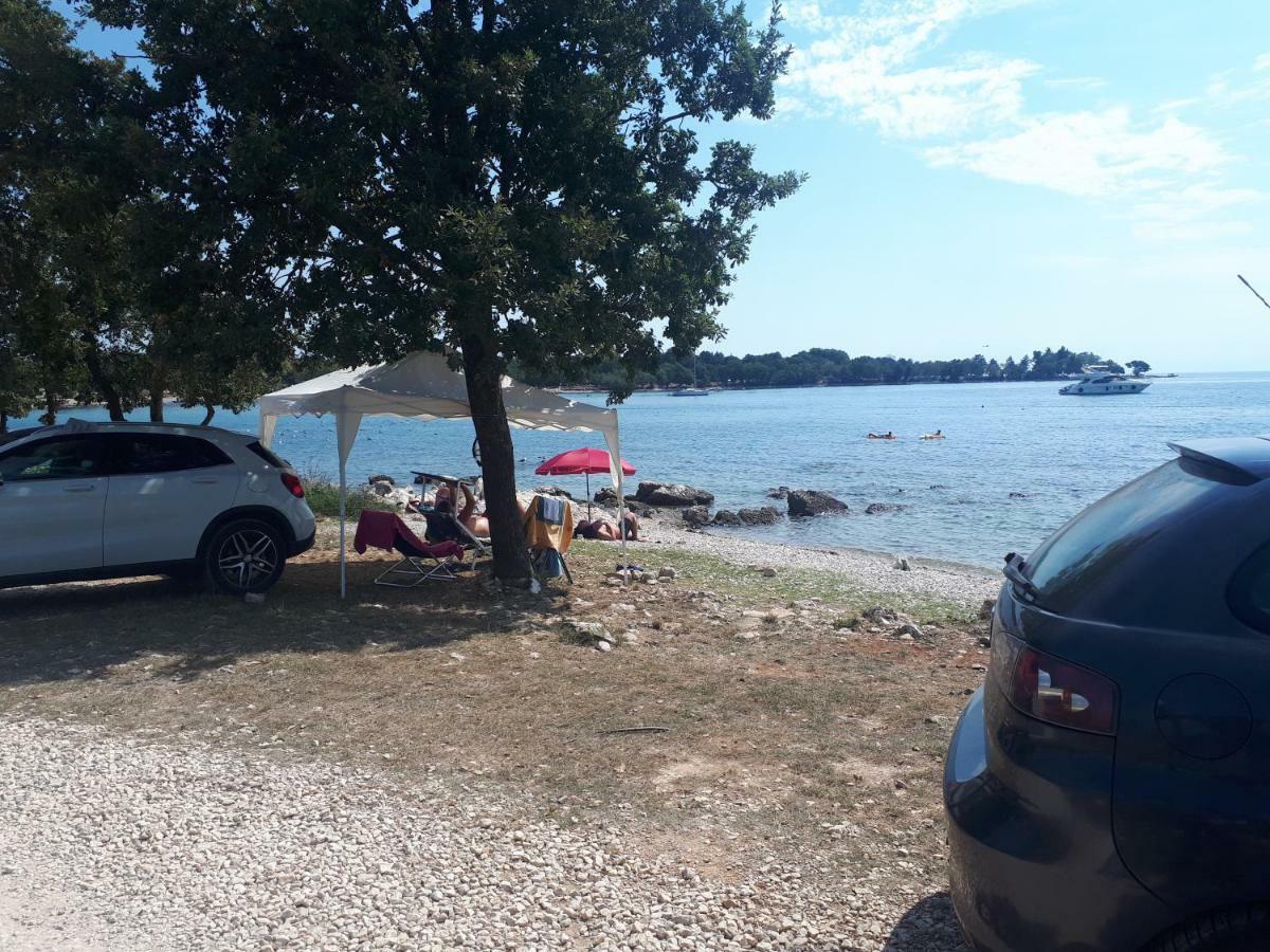 Apartment Terra Rossa Kaštelir Dış mekan fotoğraf